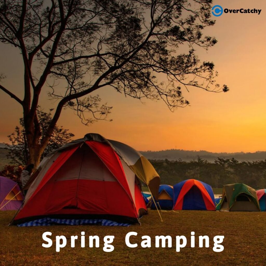 Spring Camping: Tips, Essentials, and Destinations